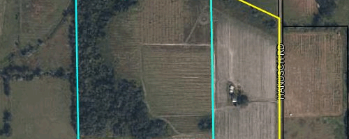 Featured Image for Blog Post Building a Brighter Future: A Message From Board Member Chris Idsardi